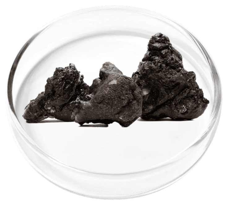 Shilajit for gum tissue vitality
